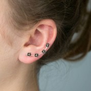 Rose climber earrings